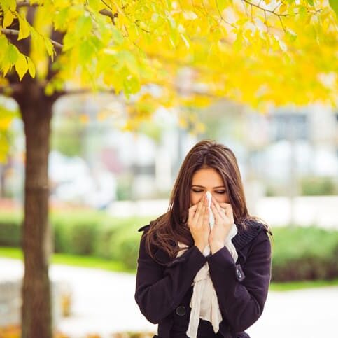 Histamine, DAO and Probiotics – could this be a solution for your chronic histamine issues? Histamine, DAO and Probiotics - could this be a solution for your chronic histamine issues?