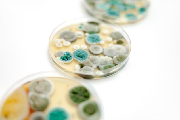 Mold Illness Chronic Fatigue Image
